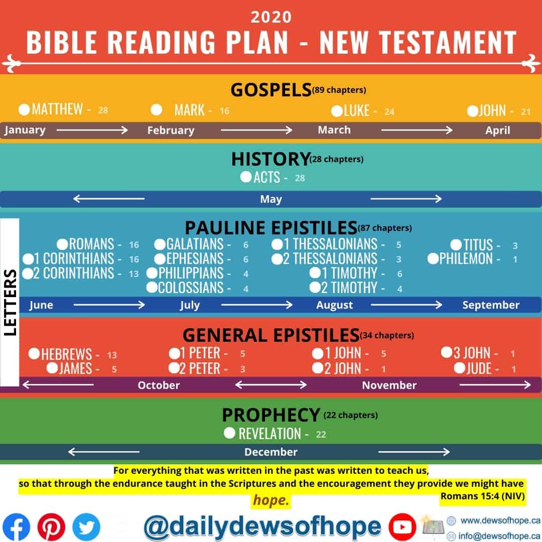 New Testament In a Year | Daily Dews of Hope